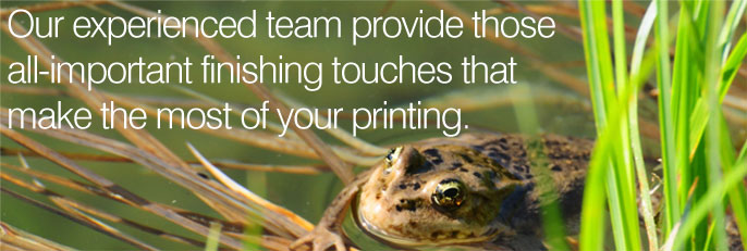 Our experienced team provide those all-important finishing touches that make the most of your printing.